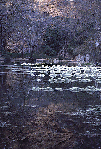 Im Park, Monasterio de la Piedra, 1984
